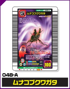 ムナコブクワガタ（048-A）［未確定］