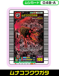 ムナコブクワガタ（048-A）［未確定］