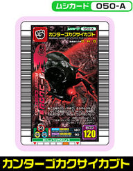 カンターゴカクサイカブト（050-A）［未確定］