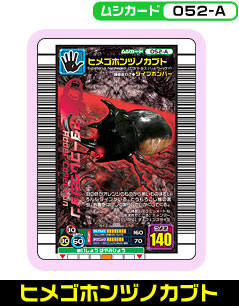 ヒメゴホンヅノカブト（052-A）［未確定］