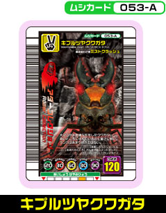 キプルツヤクワガタ（053-A）［未確定］