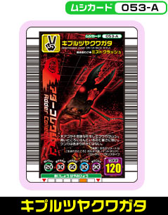 キプルツヤクワガタ（053-A）［未確定］