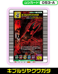 キプルツヤクワガタ（053-A）［未確定］