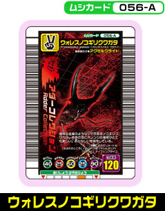 ウォレスノコギリクワガタ（056-A）［未確定］
