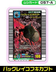 バックレイコフキカブト（057-A）［未確定］