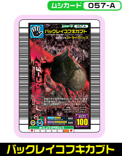 バックレイコフキカブト（057-A）［未確定］