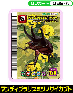 マンディブラリスミツノサイカブト（069-A）［未確定］