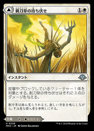 Razorgrass Ambush // Razorgrass Field（MH3 238・通常・日本語）