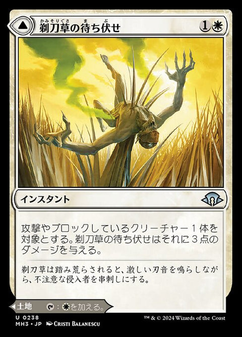 Razorgrass Ambush // Razorgrass Field（MH3 238・通常・日本語）