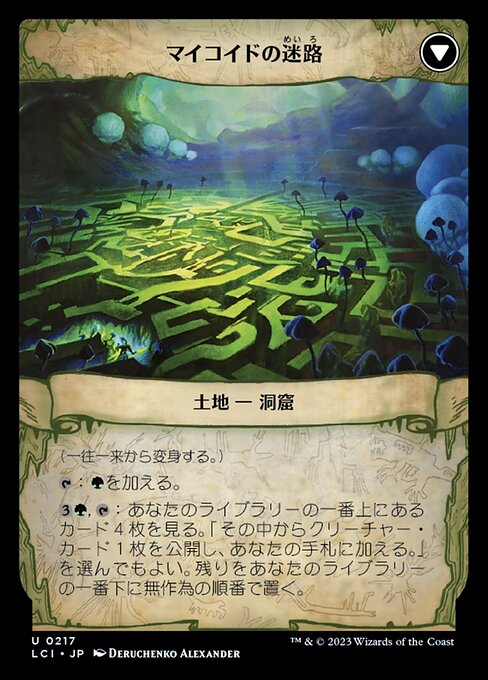 Twists and Turns // Mycoid Maze（LCI 217・通常・日本語）