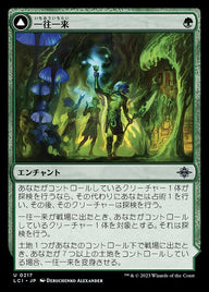 Twists and Turns // Mycoid Maze（LCI 217・通常・日本語）