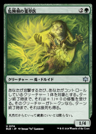 危険根の薬草医（BLB 174・フォイル・日本語）