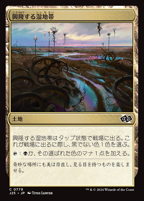 興隆する湿地帯（J25 779・通常・日本語）