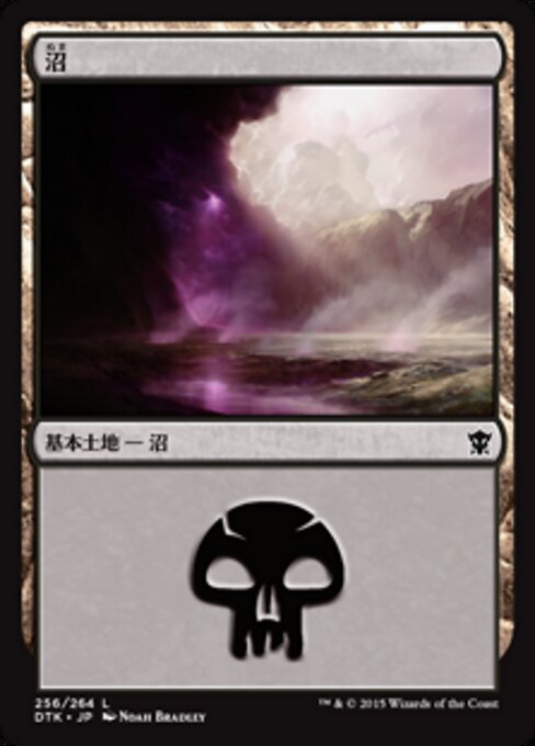 沼（DTK 256・フォイル・日本語）