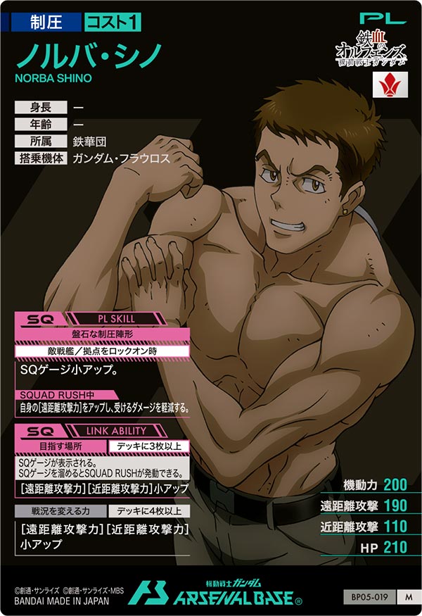ノルバ・シノ（BP05-019）［M］