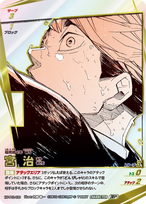 宮 治（HV-P02-020）［頂P］（IP）