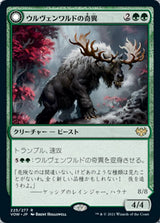 Ulvenwald Oddity // Ulvenwald Behemoth（VOW 225・通常・日本語）