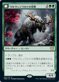 Ulvenwald Oddity // Ulvenwald Behemoth（VOW 225・通常・日本語）