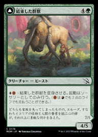 Bonded Herdbeast // Plated Kilnbeast（MOM 178・通常・日本語）