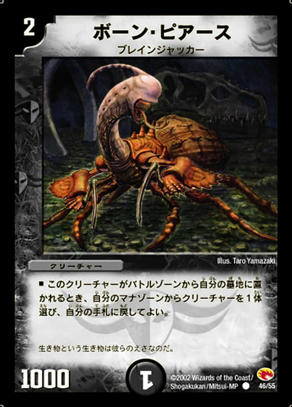 DM-03/46/C/ボーン・ピアース