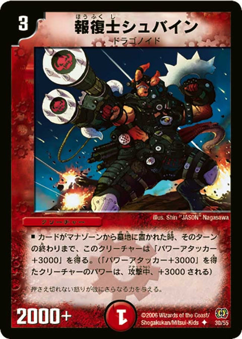 DM-17/30/U/報復士シュバイン