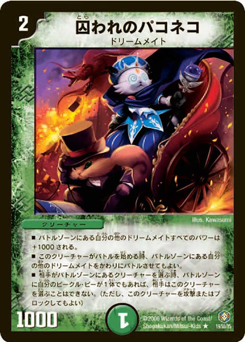 DM-21/19/R/囚われのパコネコ