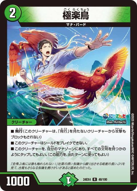極楽鳥【R】{24EX448/100}《自然》