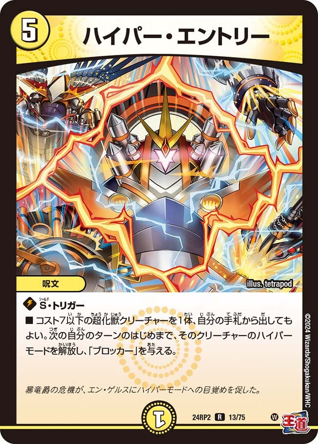 ハイパー・エントリー【R】{24RP213/75}《光》