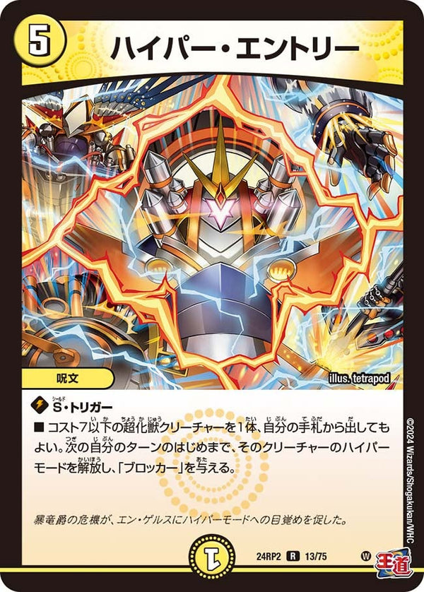 ハイパー・エントリー【R】{24RP213/75}《光》