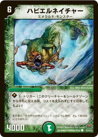 DM-29/52/C/ハビエルネイチャー