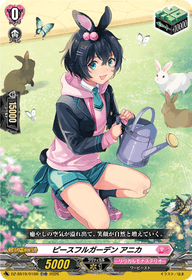 ピースフルガーデン アニカ（DZ-SS19 / DZ-SS19/016R / TDR）