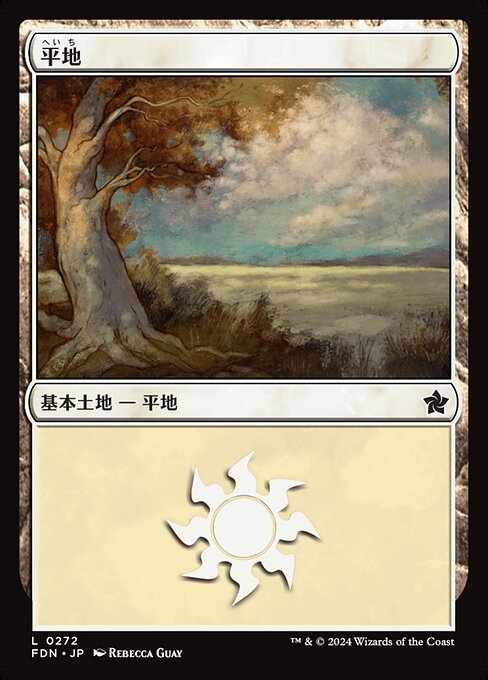 平地（FDN 272・フォイル・日本語）