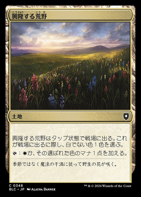 興隆する荒野（BLC 348・通常・日本語）