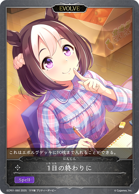 1日の終わりに（ECP01-060）［-］