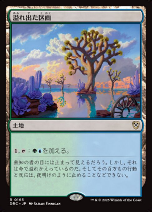 溢れ出た区画（DRC 165・通常・日本語）