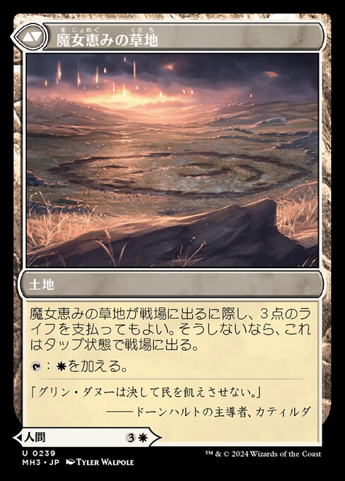 Witch Enchanter // Witch-Blessed Meadow（MH3 239・通常・日本語）