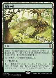 苔汁の橋（BLC 317・通常・日本語）