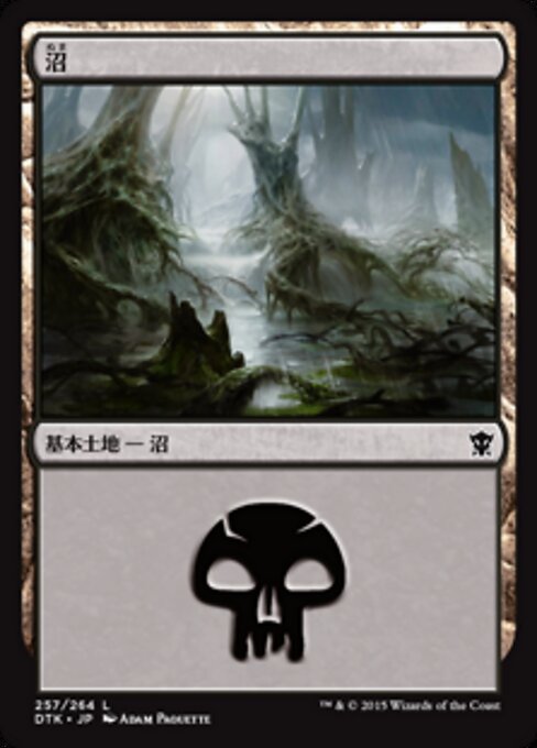 沼（DTK 257・フォイル・日本語）