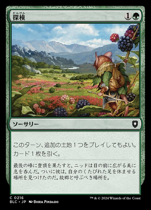 探検（BLC 216・通常・日本語）