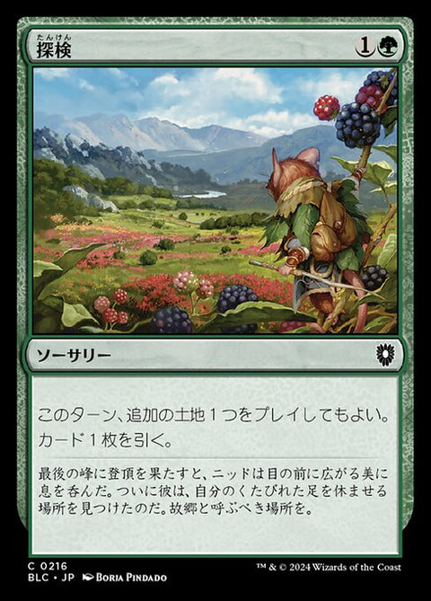 探検（BLC 216・通常・日本語）
