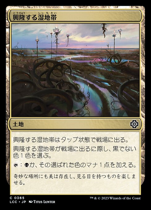 興隆する湿地帯（LCC 365・通常・日本語）