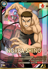 ノルバ・シノ（FQ02-066）［P］