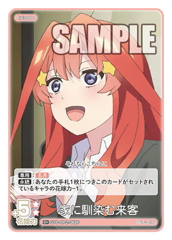 家に馴染む来客（GYC-BP2-068P）［C+］