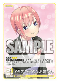 イタズラ好きなお姉さん（GYC-PR-007）［PR］