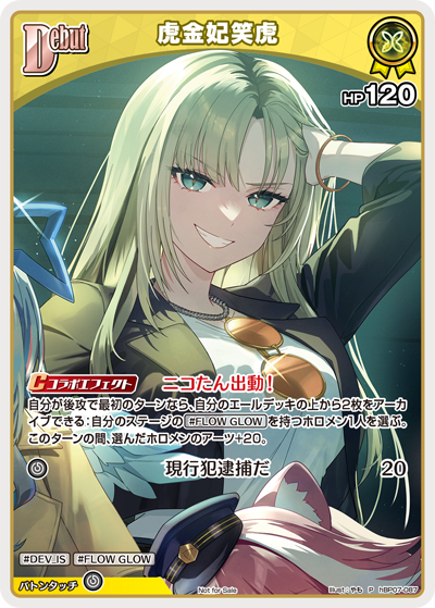 虎金妃笑虎（hBP07-087）［P］