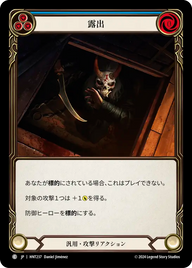 露出 HNT237 C [HNT/standard]