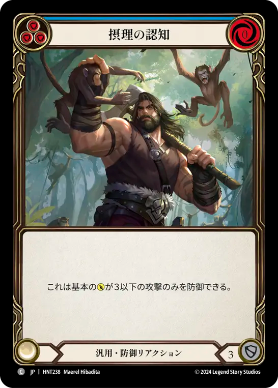 摂理の認知 HNT238 C [HNT/standard]