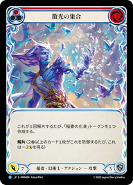 散光の集合 OMN008 R [OMN/standard]