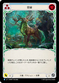 常緑 RAP097 R [RAP/standard]