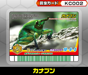 カナブン（KC002）［未確定］